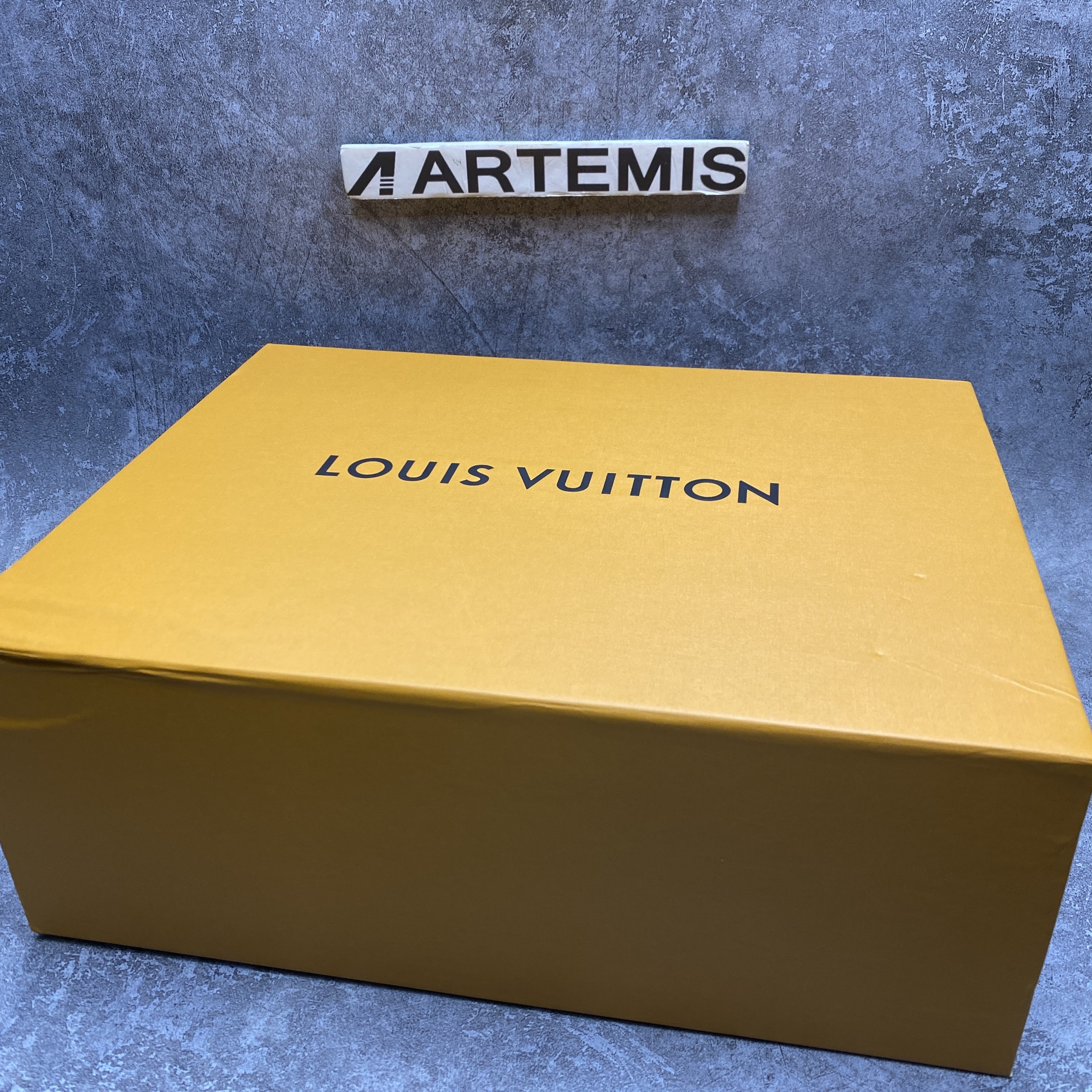 LV Skate Sneaker in Beige