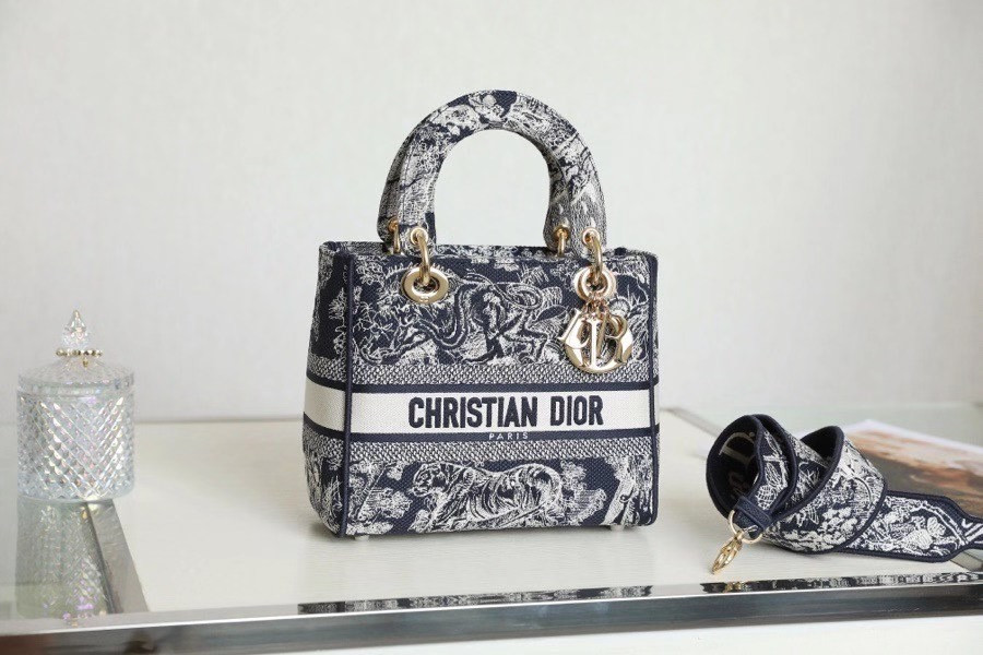 Dior D-lited bag 24cm