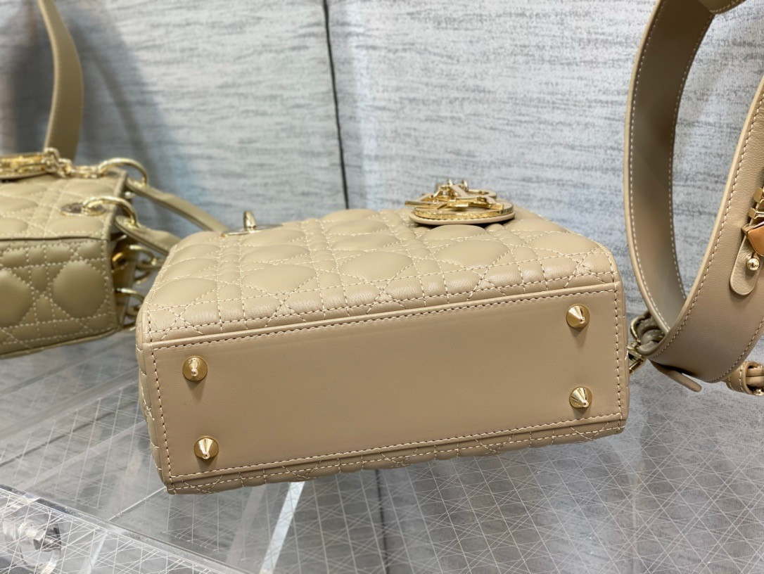 Medium Lady Dior Bag 24 x 20 x 12 cm