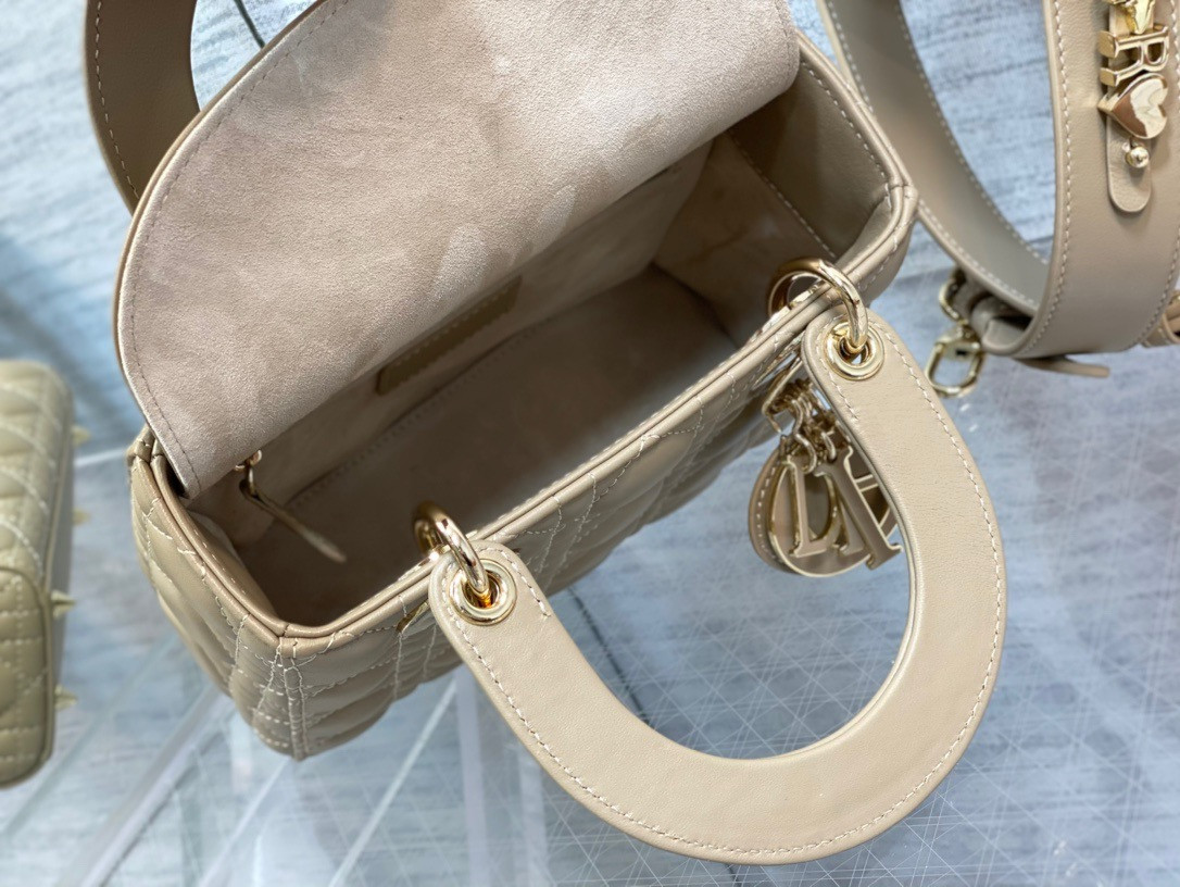 Medium Lady Dior Bag 24 x 20 x 12 cm