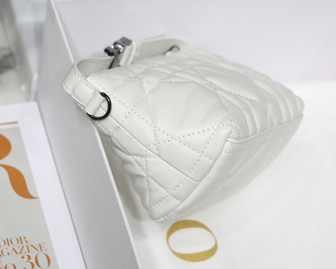 DIOR TRAVEL NOMAD POUCH WHITE