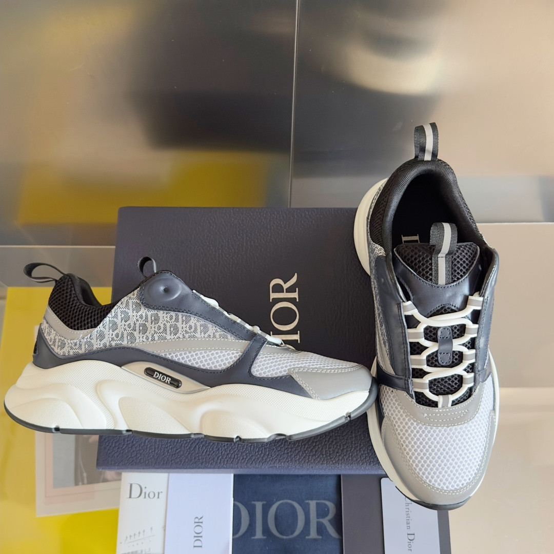 UA Dior B22 gray Sneaker