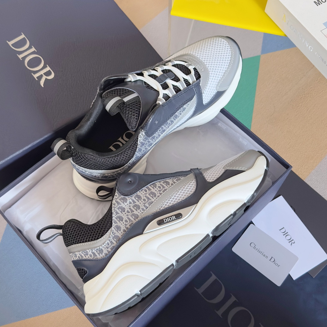 UA Dior B22 gray Sneaker