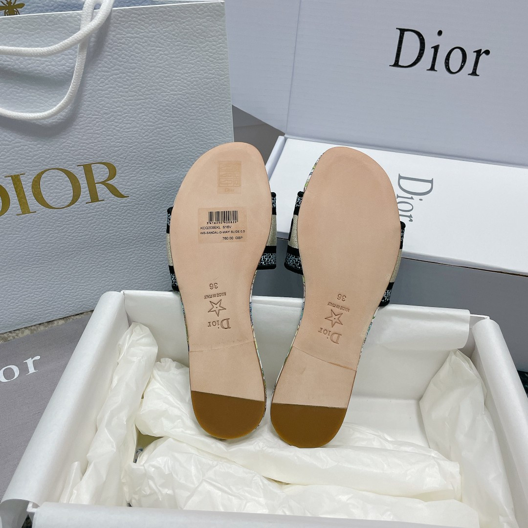 UA DIOR Dway Slide