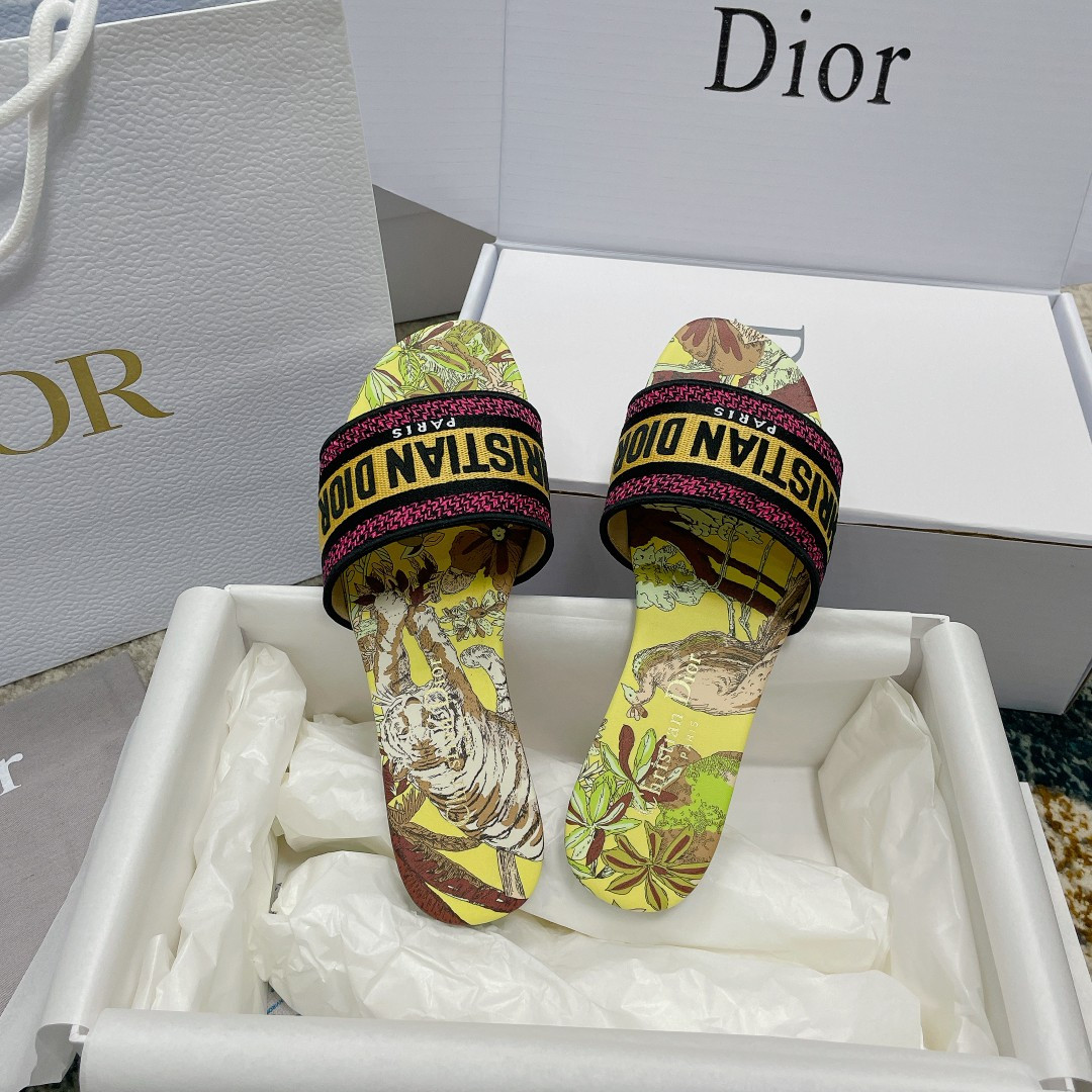 UA DIOR Dway Slide