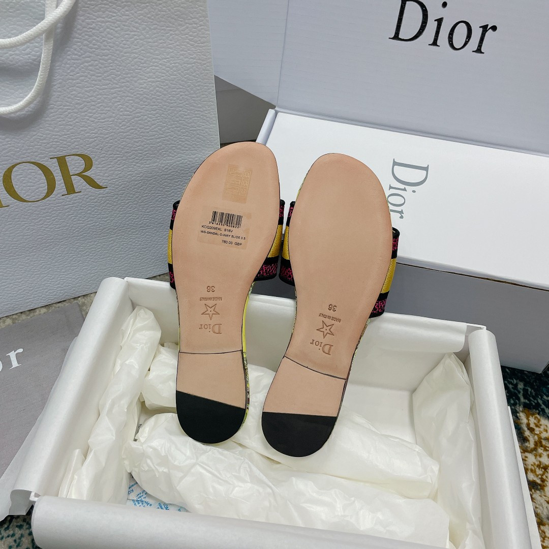 UA DIOR Dway Slide