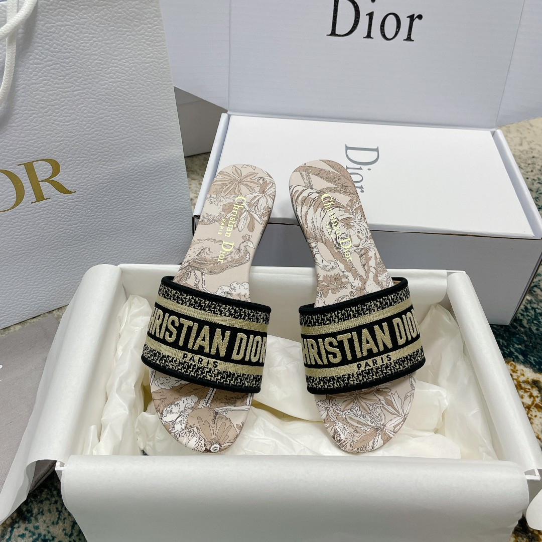 UA DIOR Dway Slide