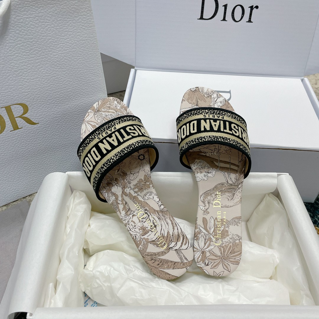 UA DIOR Dway Slide