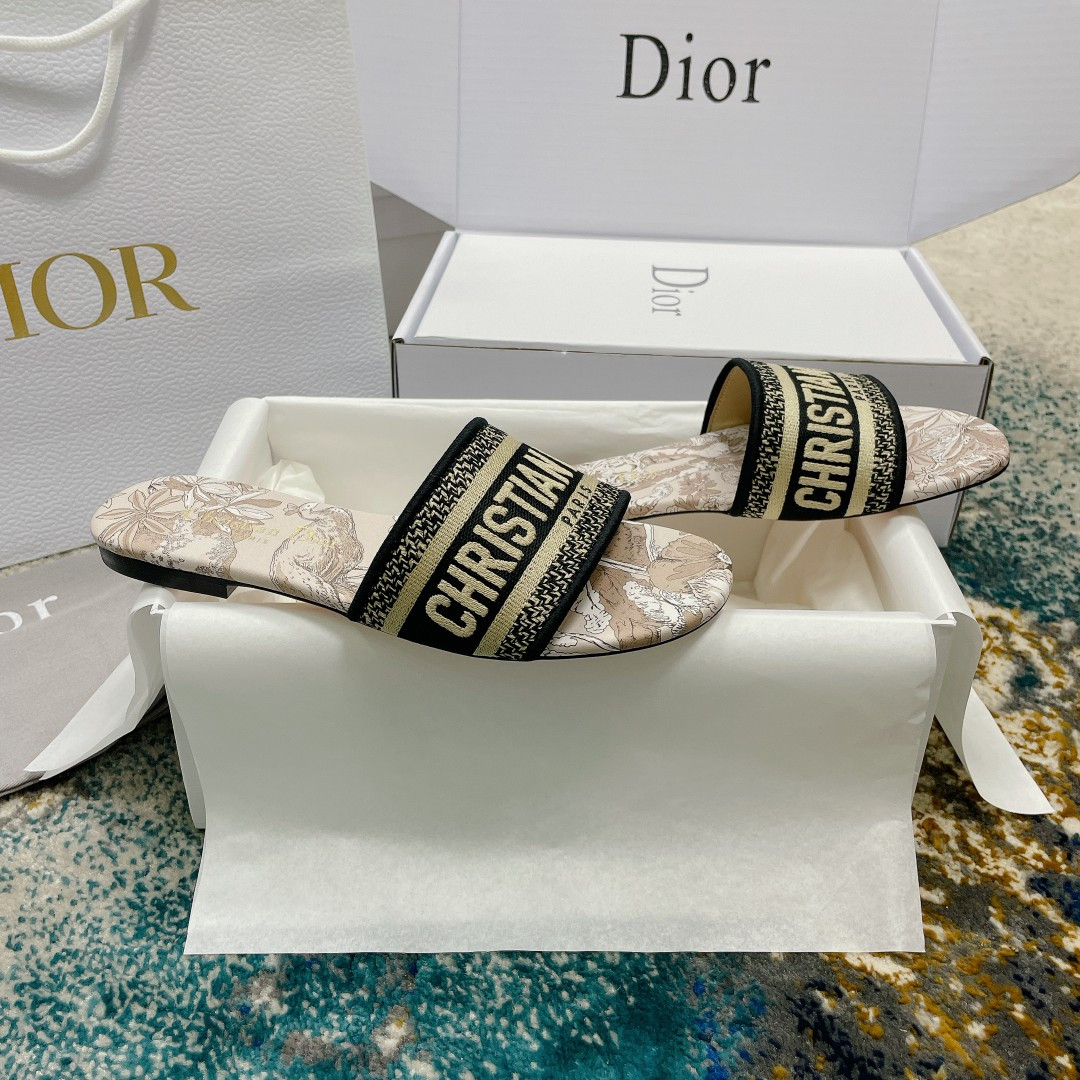 UA DIOR Dway Slide