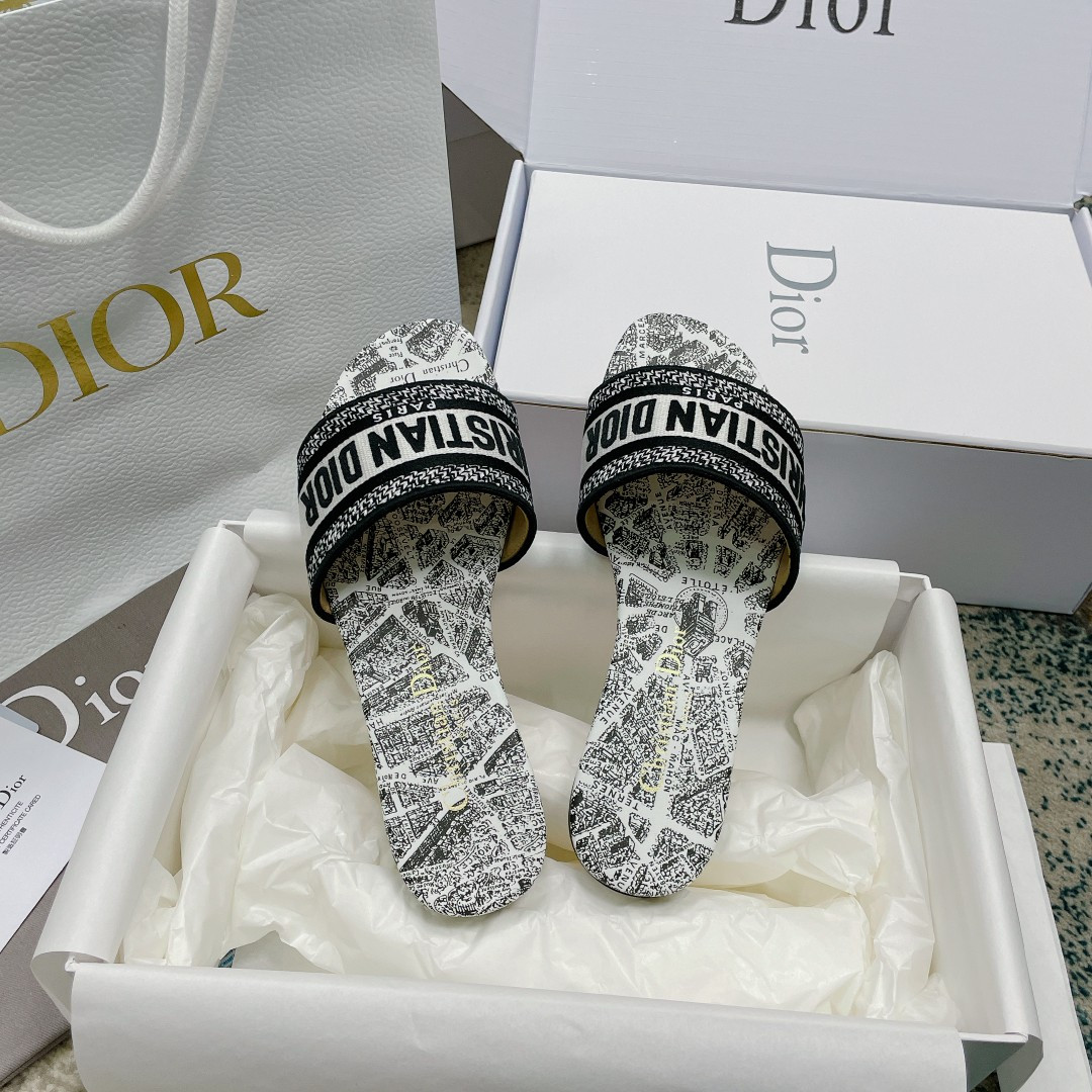 UA DIOR Dway Slide