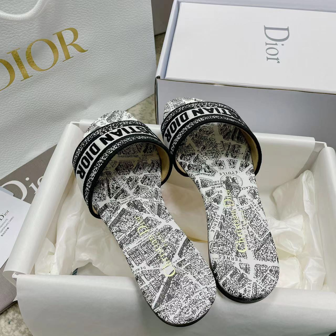 UA DIOR Dway Slide