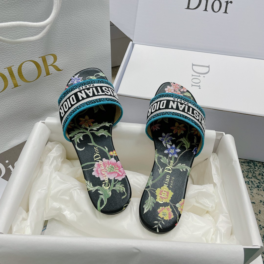UA DIOR Dway Slide