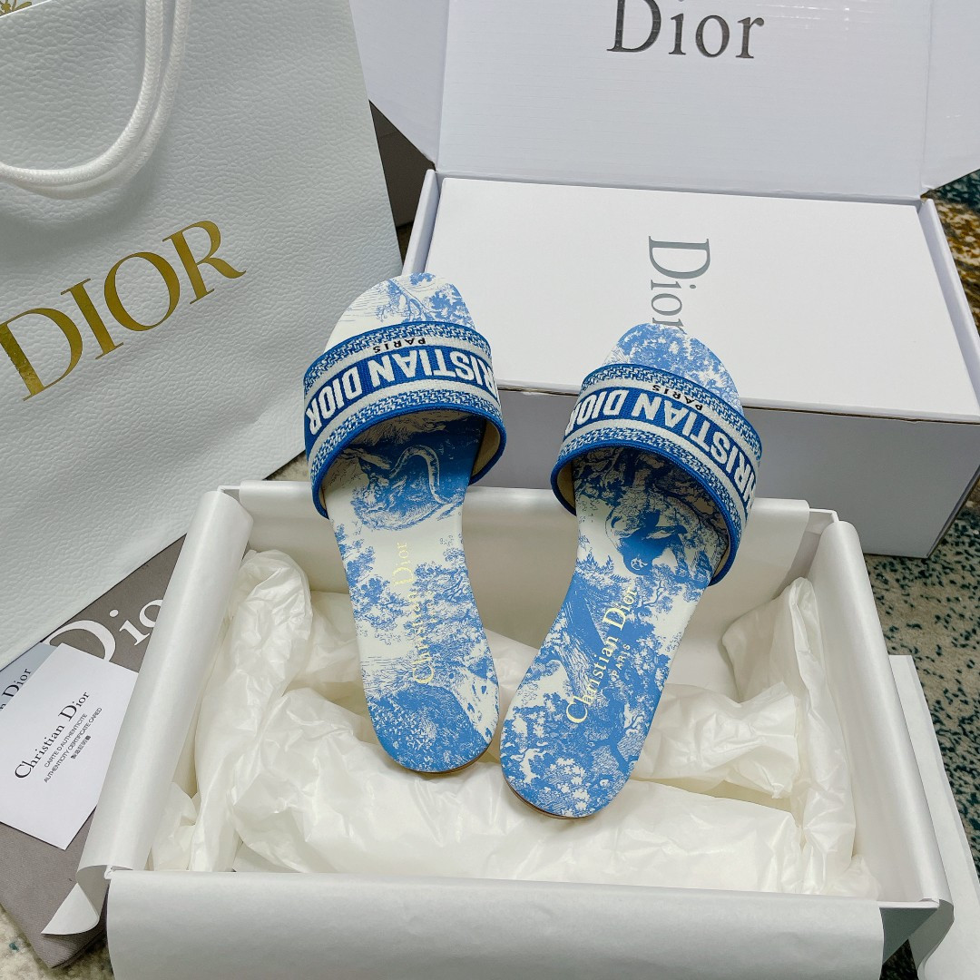 UA DIOR Dway Slide