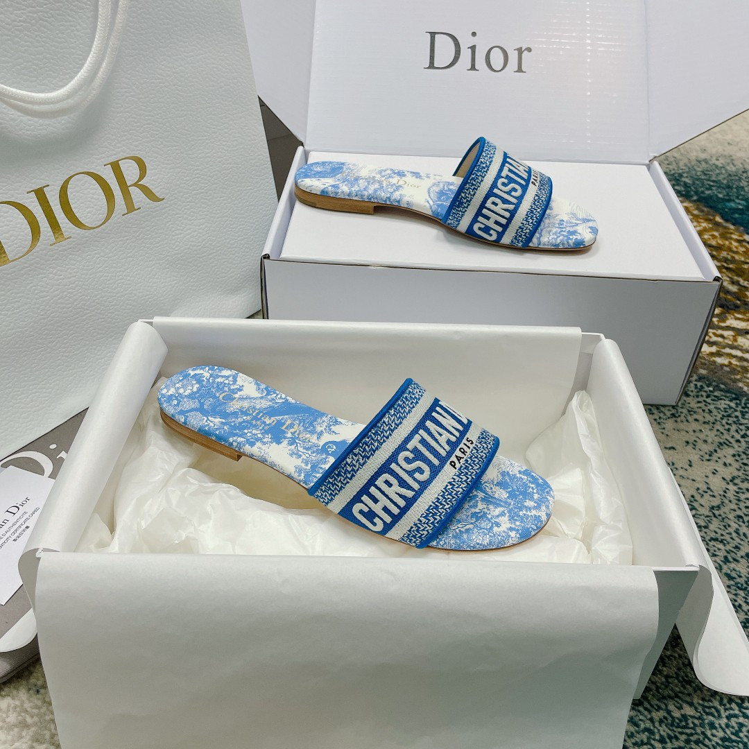 UA DIOR Dway Slide