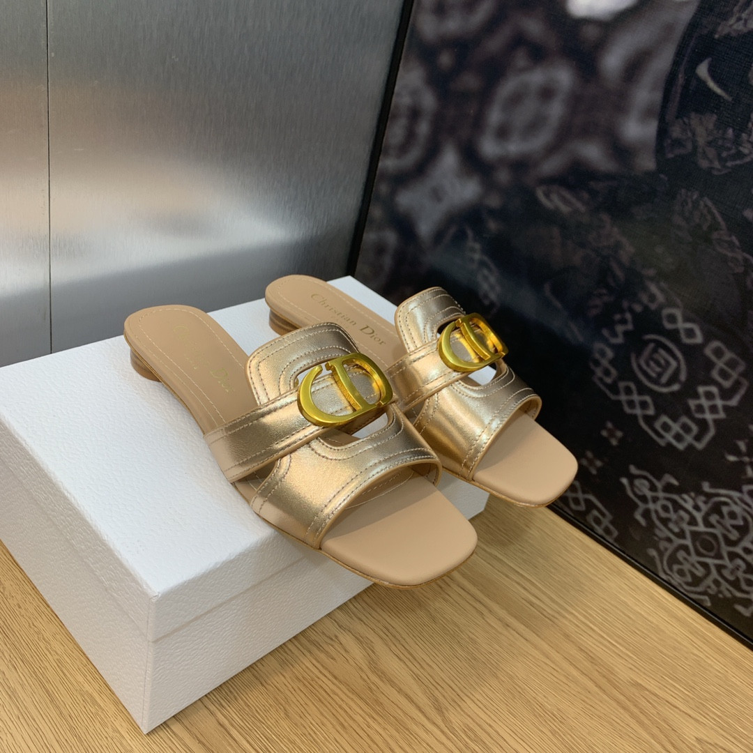 UA DIOR 30 Montaigne Slide