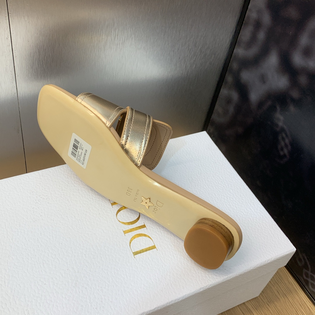 UA DIOR 30 Montaigne Slide