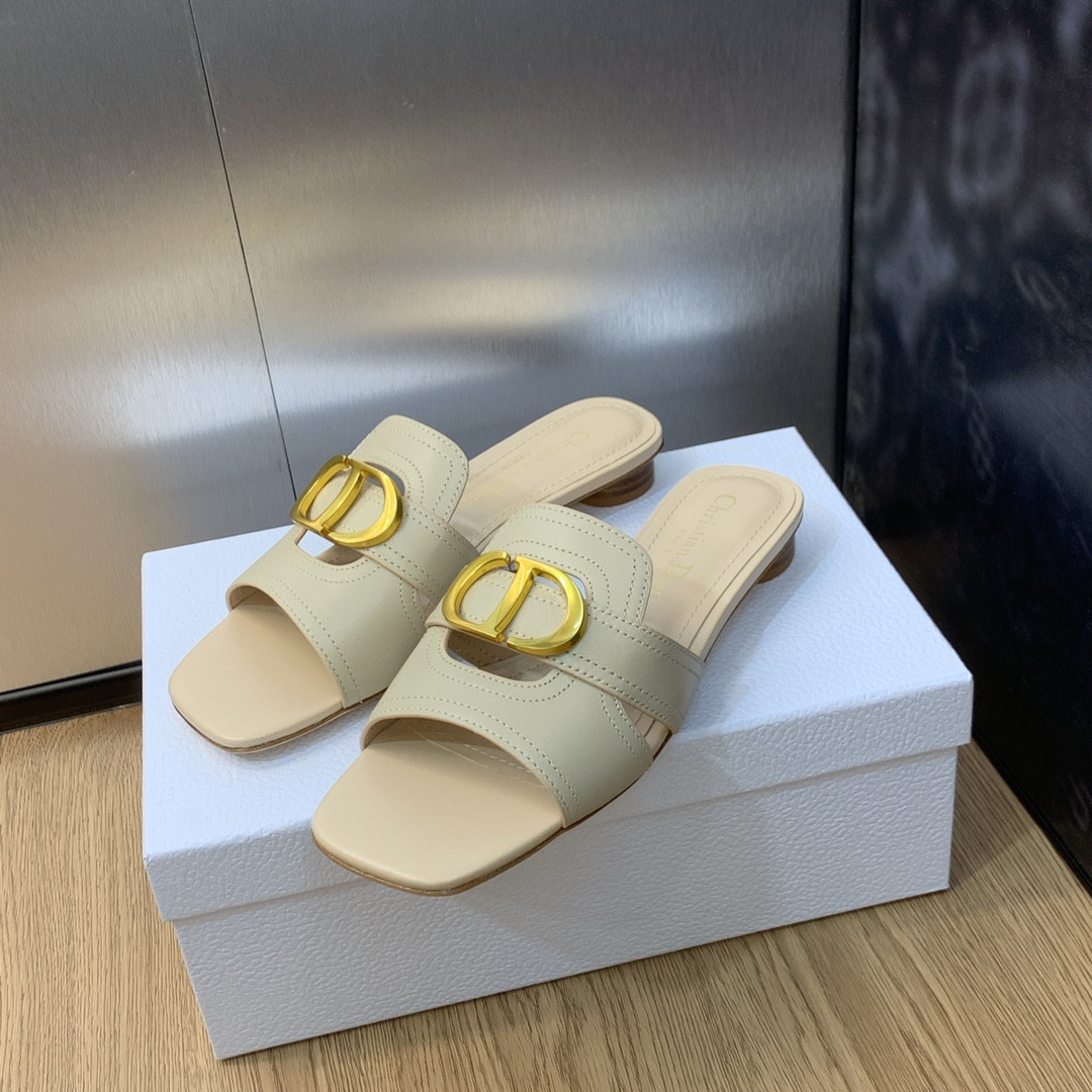 UA DIOR 30 Montaigne Slide