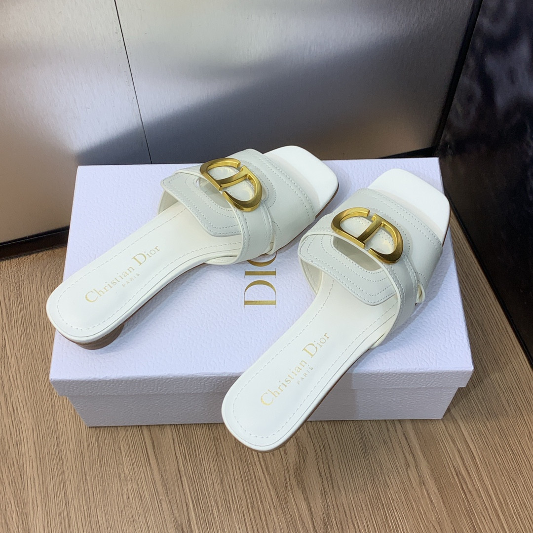 UA DIOR 30 Montaigne Slide