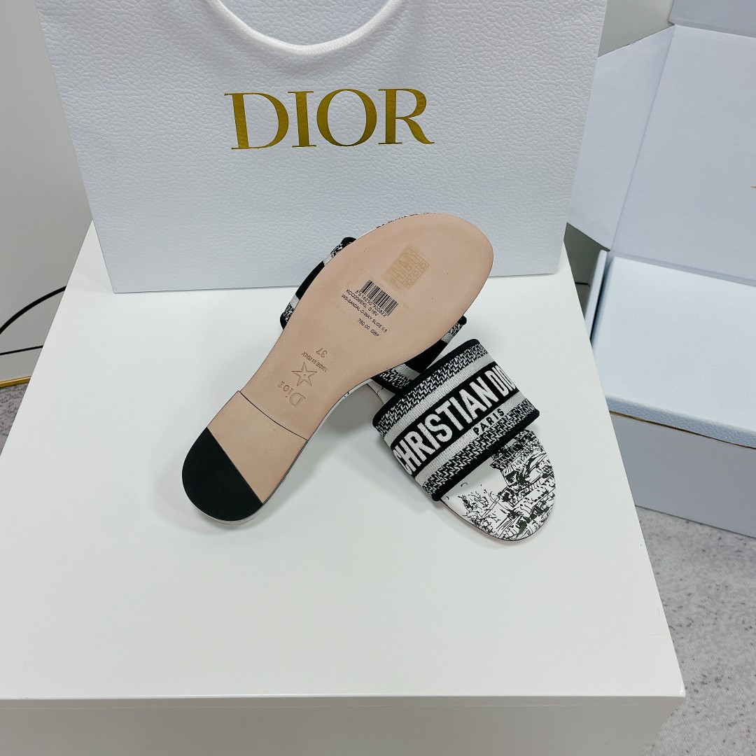 UA DIOR Dway Slide