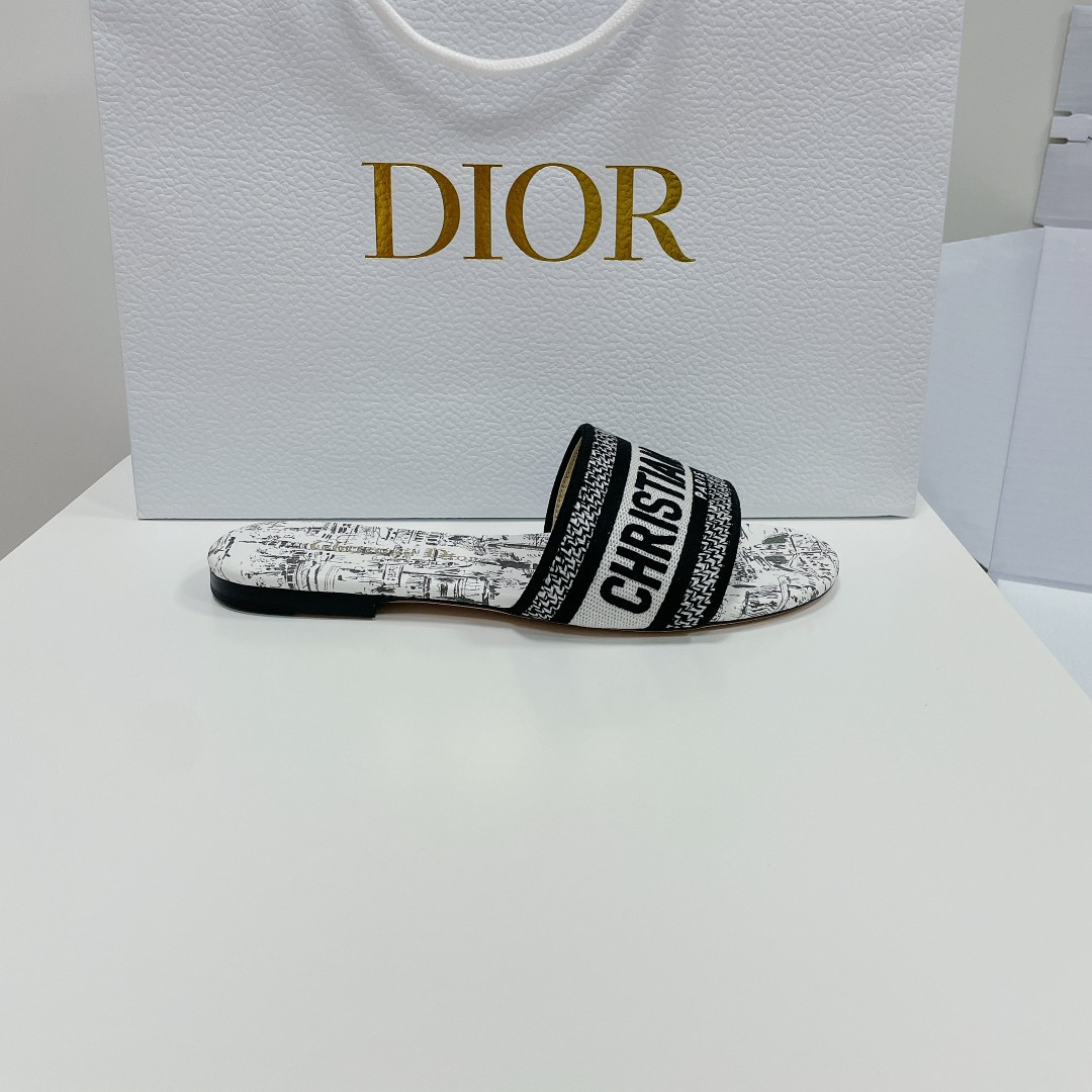 UA DIOR Dway Slide