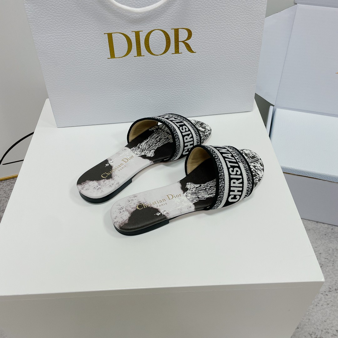 UA DIOR Dway Slide