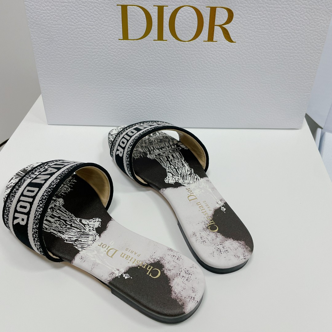 UA DIOR Dway Slide