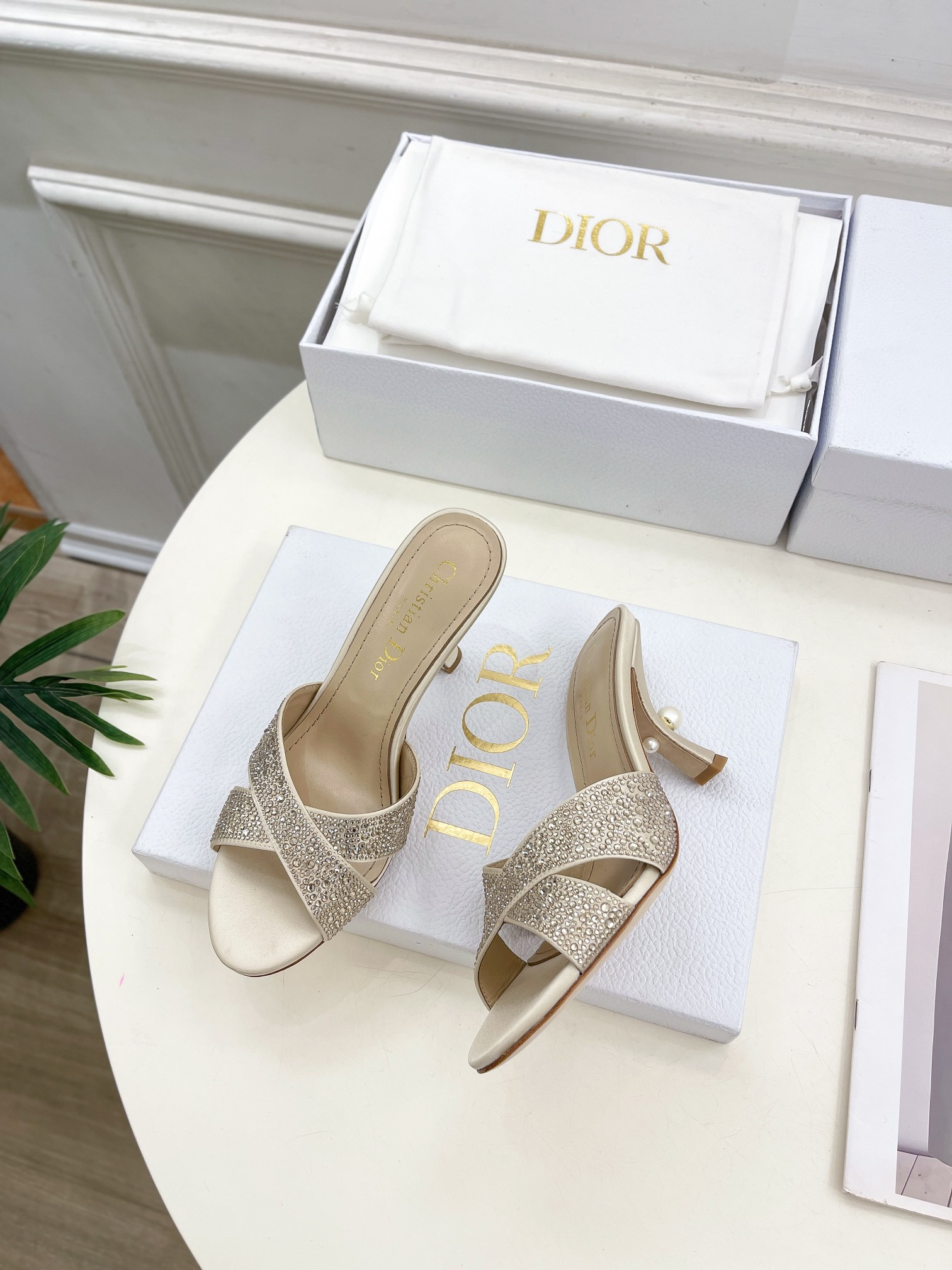 UA Dior Tribales Heeled Slide