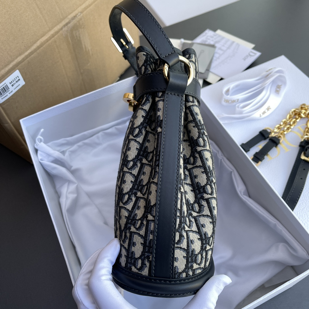 Dior  Amber Oblique 24.5×25×11cm