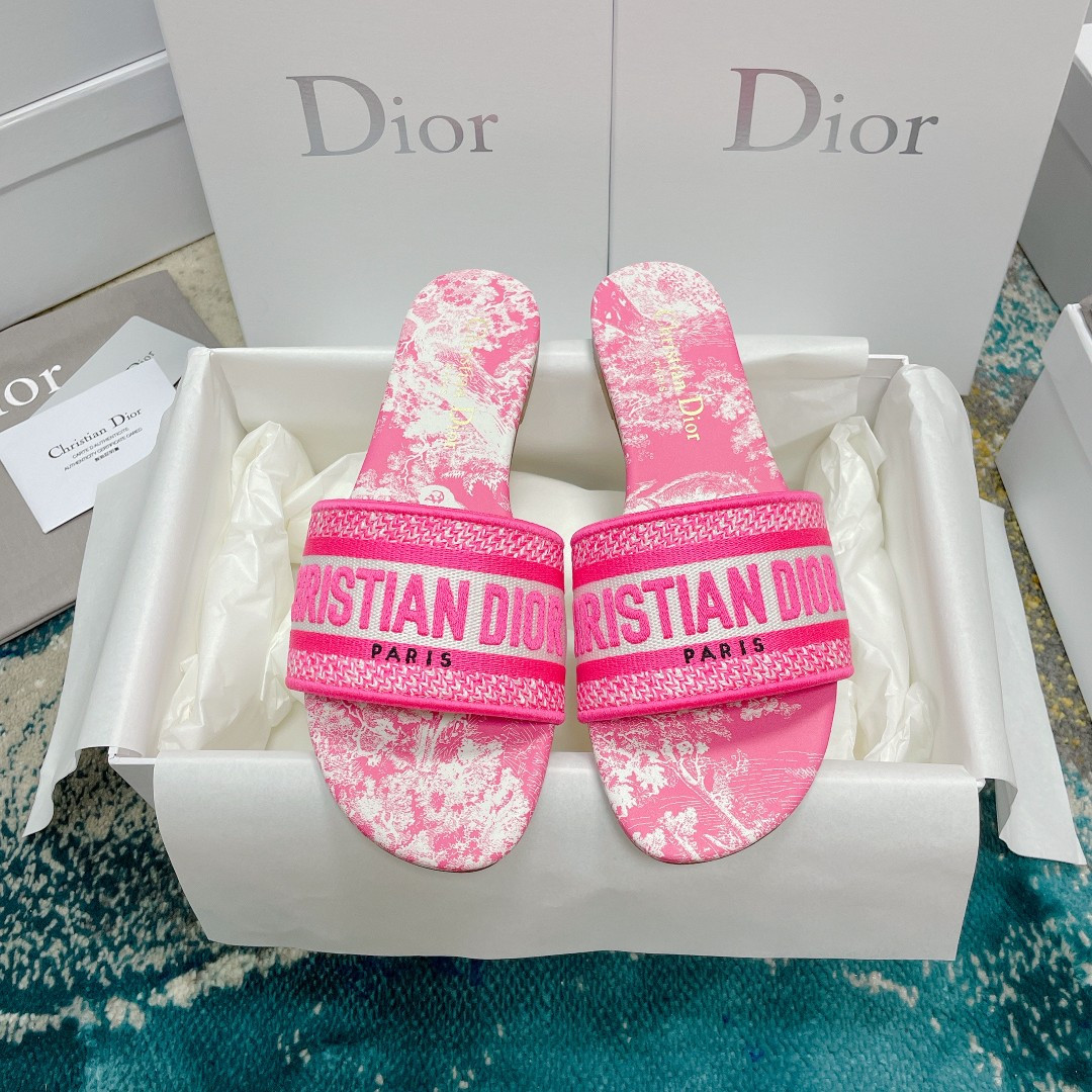 UA DIOR Dway Slide