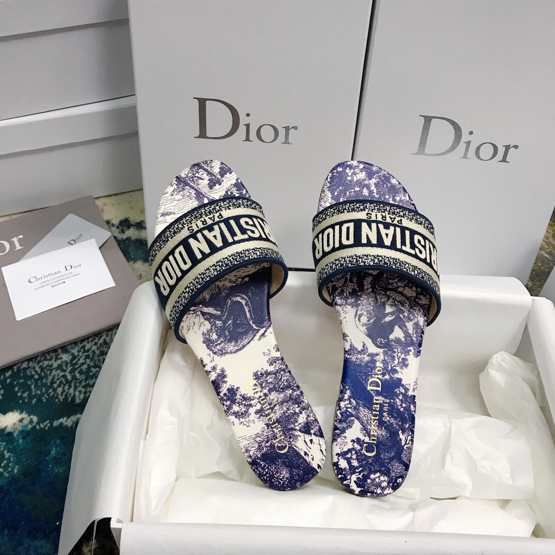 UA DIOR Dway Slide