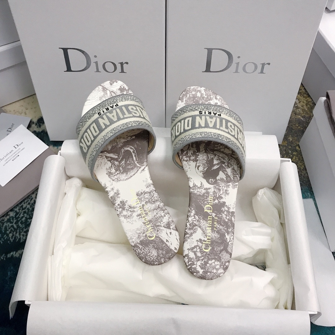 UA DIOR Dway Slide