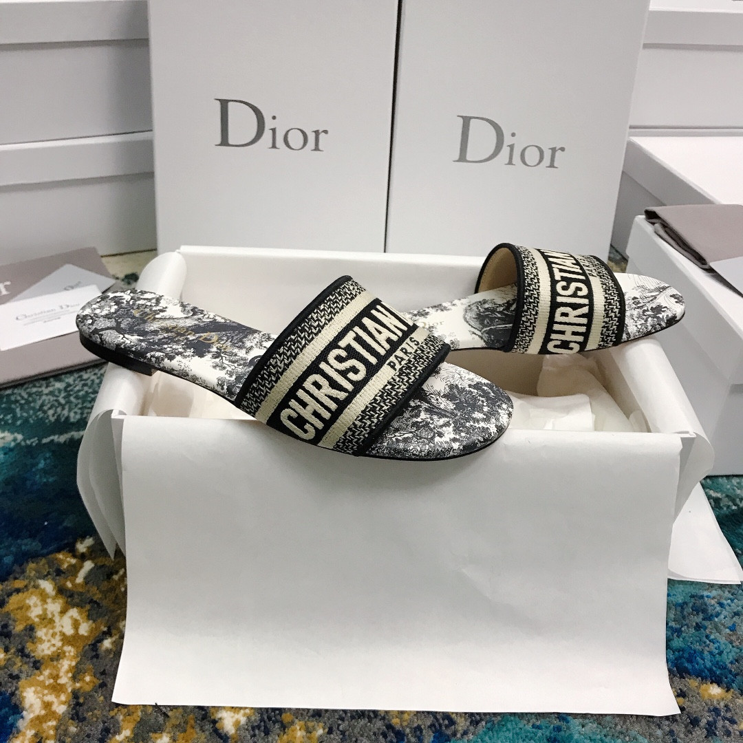 UA DIOR Dway Slide