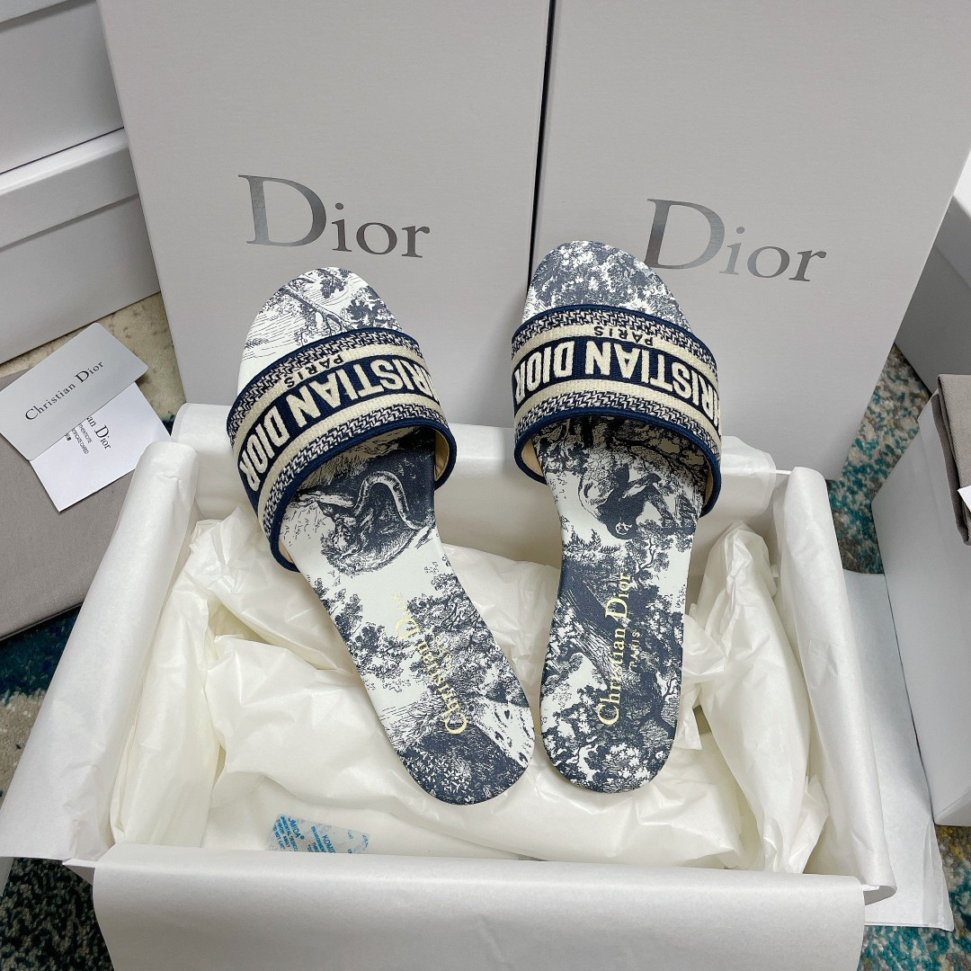 UA DIOR Dway Slide