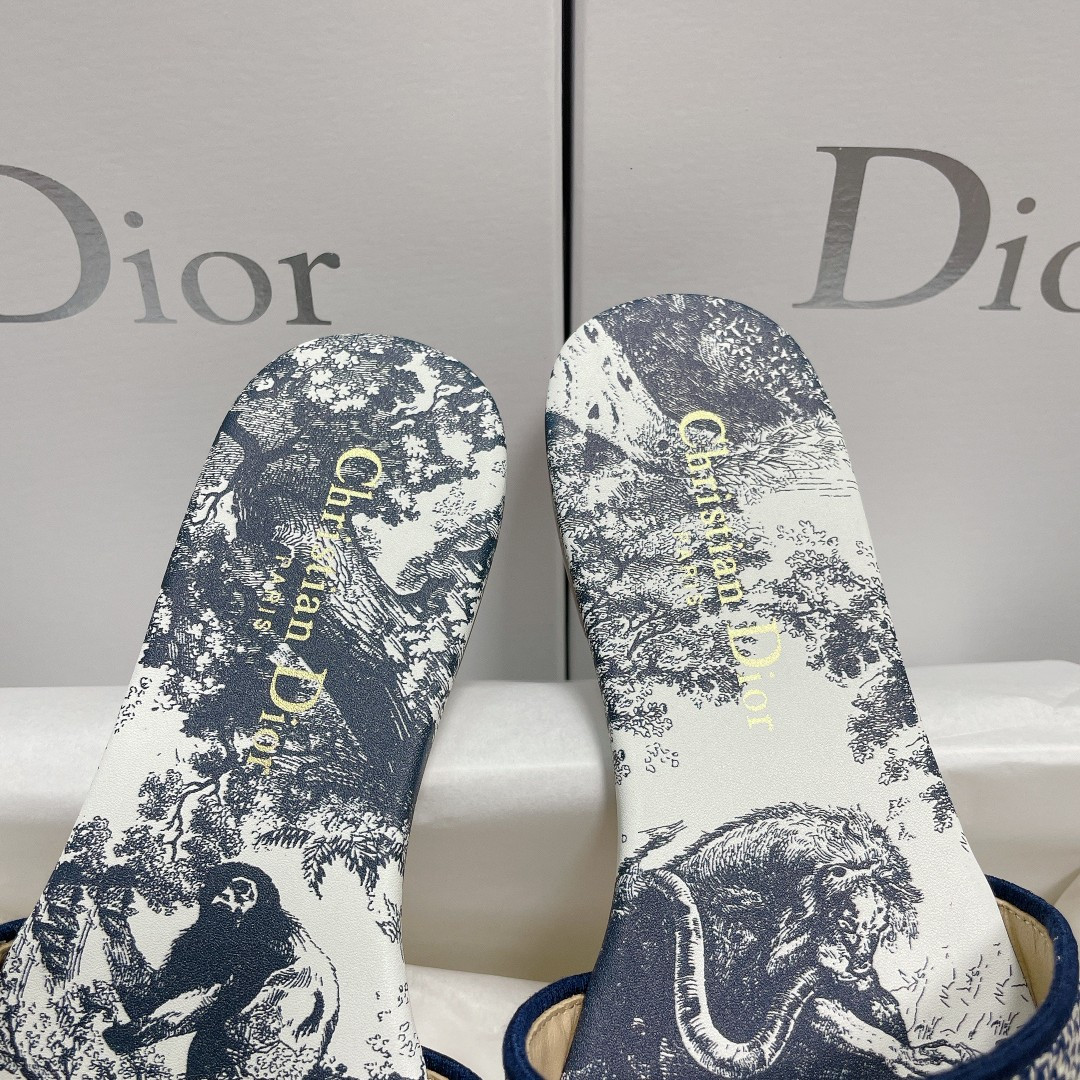 UA DIOR Dway Slide