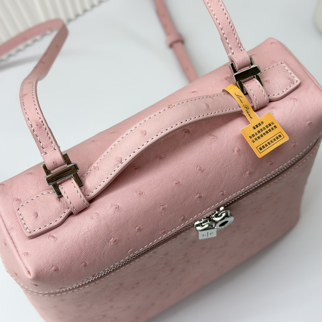 Loro Piana Extra Pocket backpack L23.5 Ostrich-grained Leather 23 x 21 x 8 cm