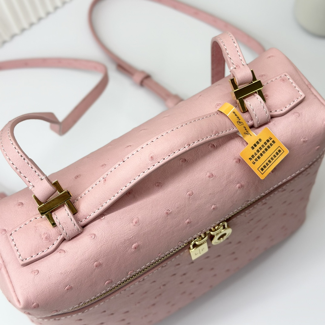 Loro Piana Extra Pocket backpack L23.5 Ostrich-grained Leather 23 x 21 x 8 cm