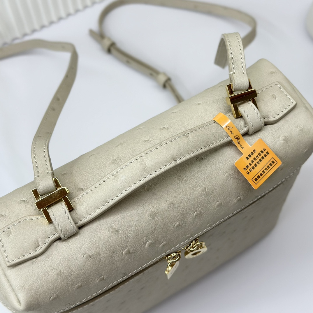 Loro Piana Extra Pocket backpack L23.5 Ostrich-grained Leather 23 x 21 x 8 cm