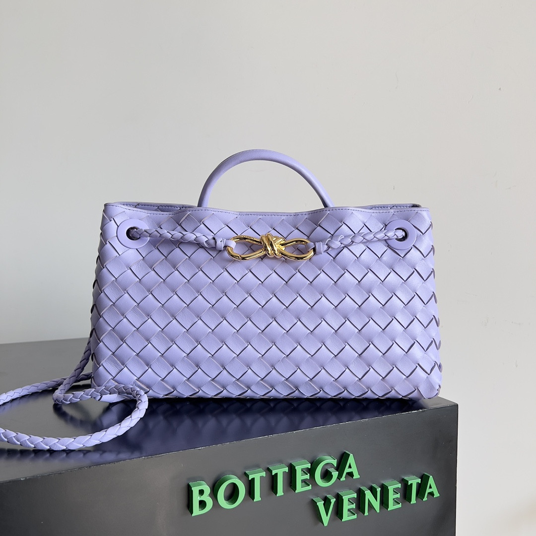 Bottega Veneta East-West Andiamo 29x10x18CM