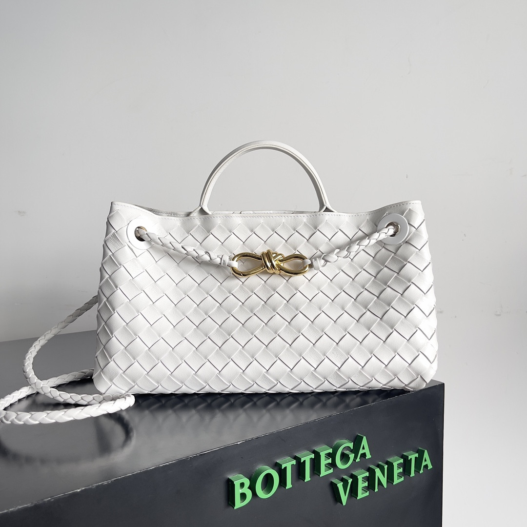 Bottega Veneta East-West Andiamo 29x10x18CM
