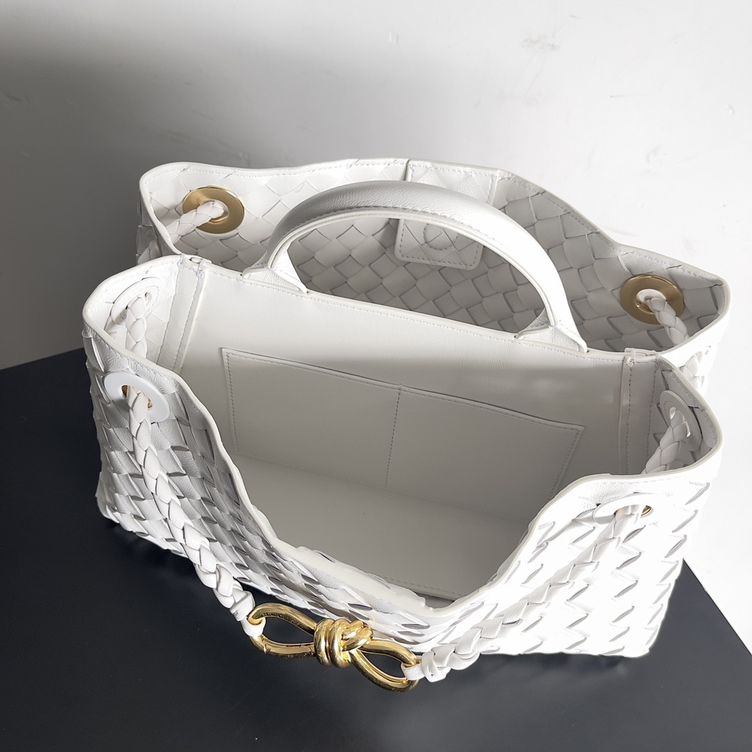 Bottega Veneta East-West Andiamo 29x10x18CM