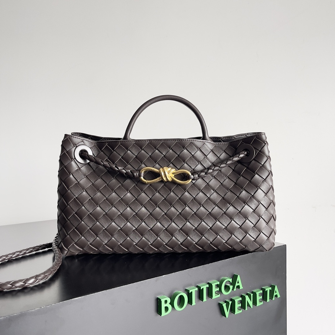 Bottega Veneta East-West Andiamo 29x10x18CM