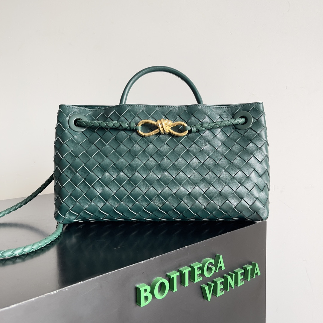 Bottega Veneta East-West Andiamo 29x10x18CM