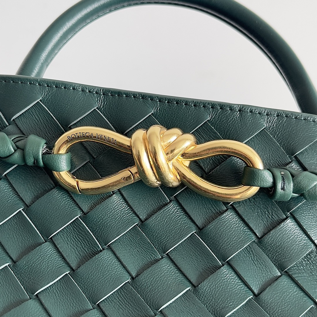 Bottega Veneta East-West Andiamo 29x10x18CM