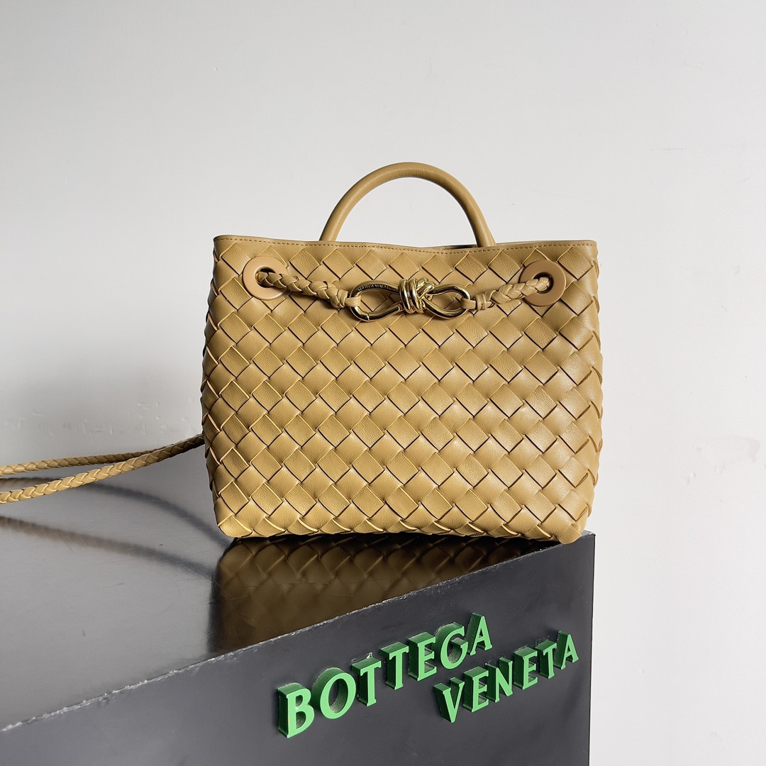 Bottega Veneta Small Andiamo 25x22x10.5cm
