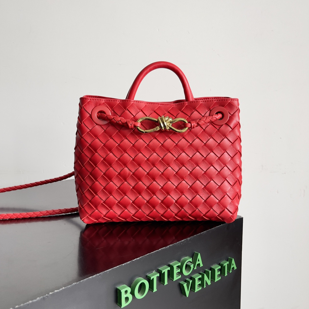 Bottega Veneta Small Andiamo 25x22x10.5cm