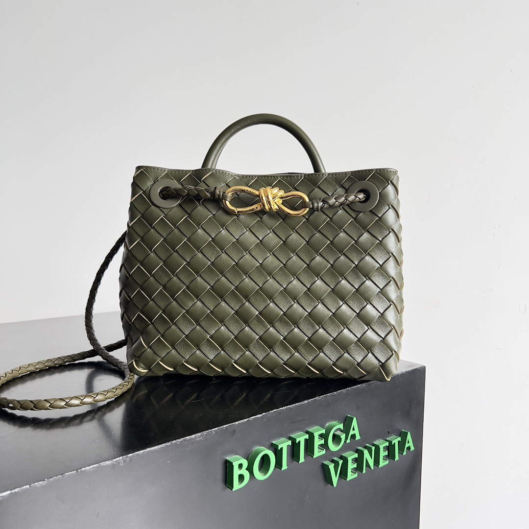 Bottega Veneta Small Andiamo 25x22x10.5cm