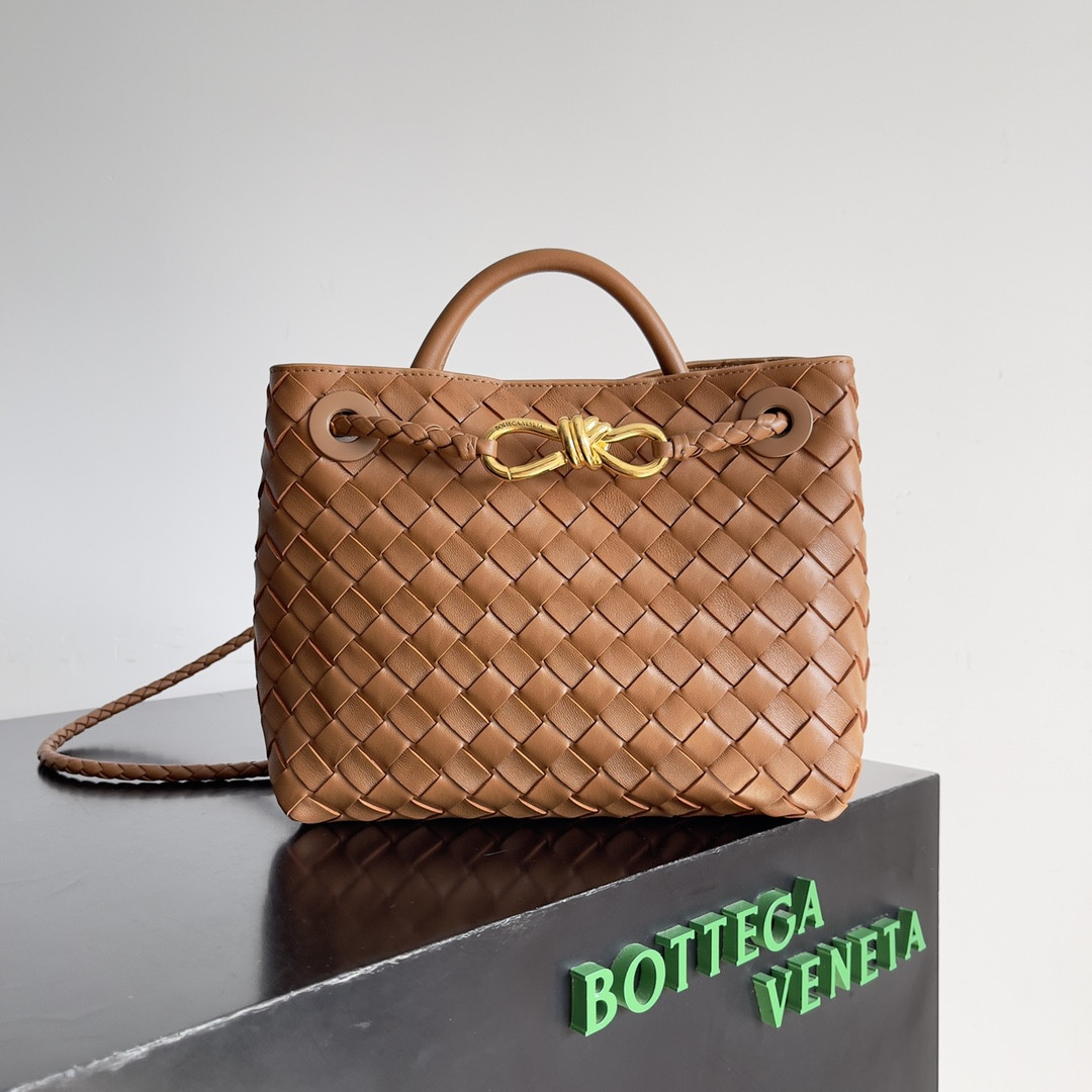 Bottega Veneta Small Andiamo 25x22x10.5cm