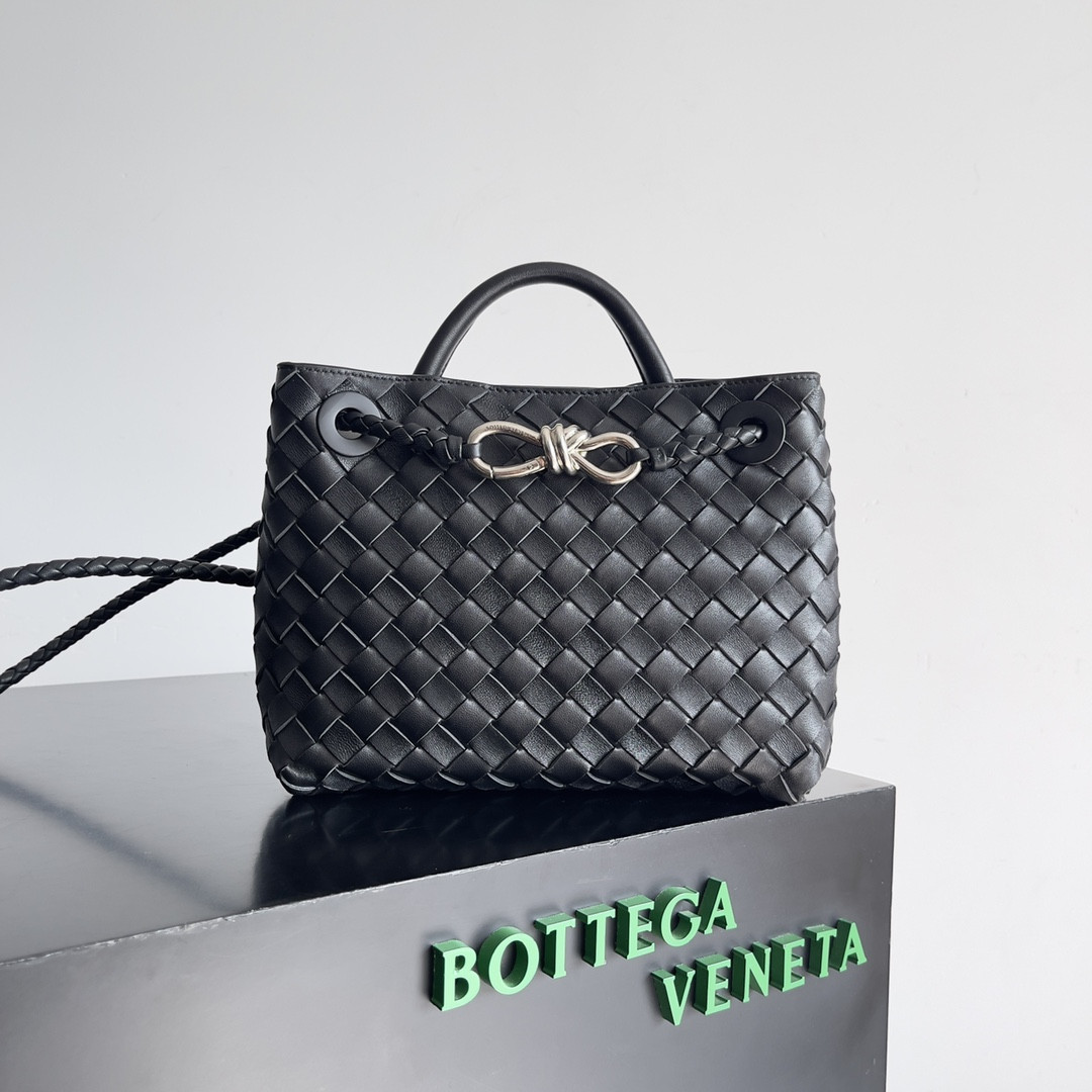 Bottega Veneta Small Andiamo 25x22x10.5cm