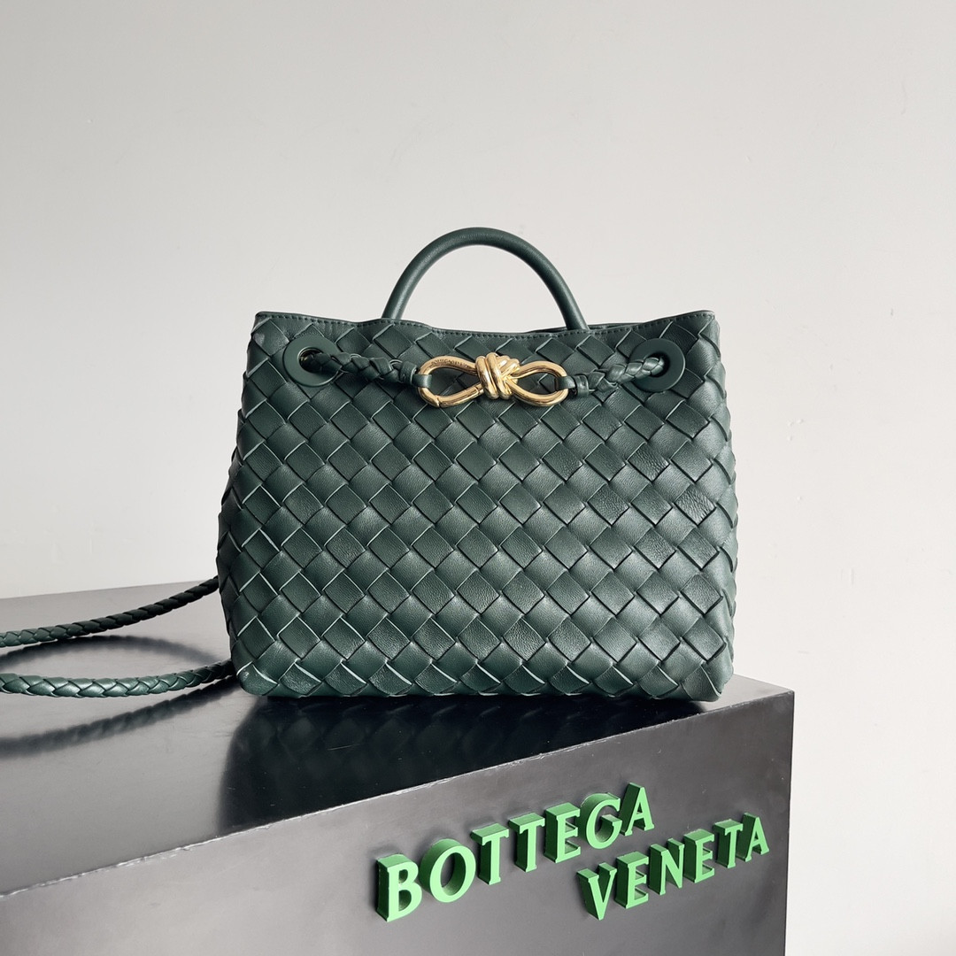 Bottega Veneta Small Andiamo 25x22x10.5cm