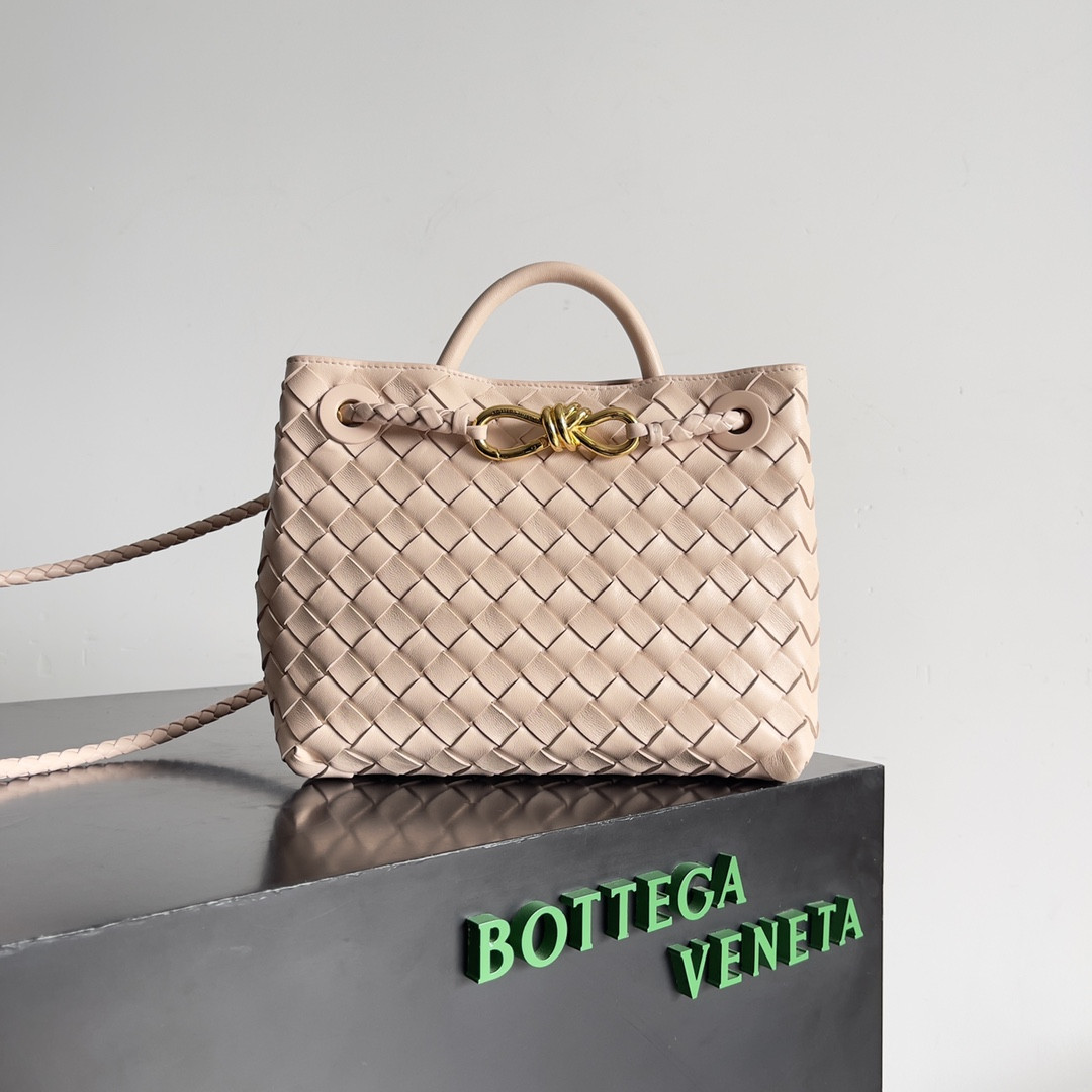 Bottega Veneta Small Andiamo 25x22x10.5cm